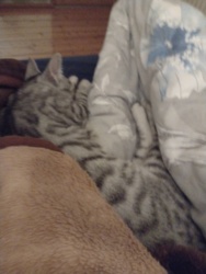 17d0a0e3-0d34-4b69-bc19-33aad82af549