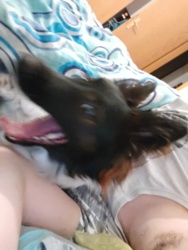 545f9705-d6f2-43be-8eb9-802a717e08f0