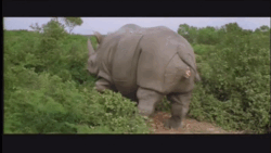 215368d3-9b8d-4a6b-a3a7-085389908385