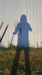 c534faa8-451e-4060-b064-5e5763549339