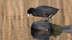 e6b3abfa-3b32-4882-bf5b-8418ba99ebc2