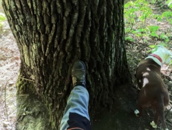 197b4508-c364-47f4-a14a-fb4b83dfa578