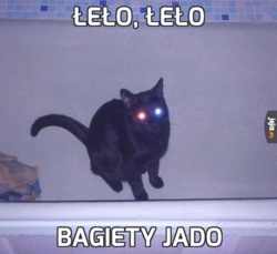 3d96c3de-d896-48ef-a9bd-e26919af18ec