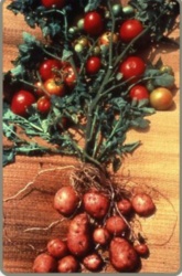 85a62045-590e-4798-bb42-2dea2eb4aab3