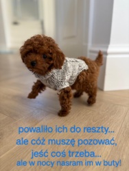 d7d737df-cf9f-4153-a440-cc61584d88d5