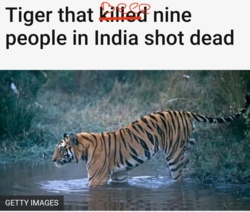 ba6ed253-91fd-4d66-aa34-4d28d320c853