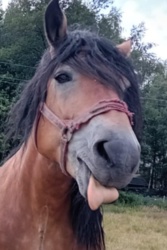 4bb0fc60-06d4-4438-80ff-693b59b57188