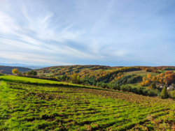 da0237b5-8156-4e93-9600-cca18a434482