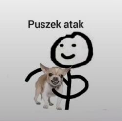 4f531ba6-e2d3-4c37-b968-f77399498620