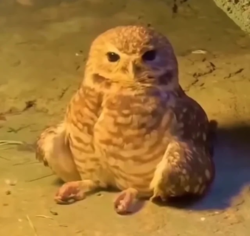 302e0aa8-8a2f-4853-81ff-d7d44724f400