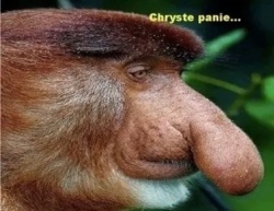 aeab432e-86fe-4db9-9c9a-49a420c1fa77