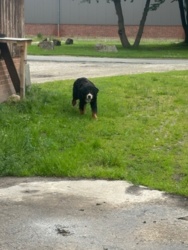 cb876afb-9ea4-47a9-a0a2-87d78e0604d7