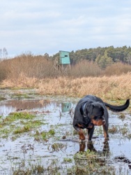 6d31985b-61dc-4802-ab62-4b0bbaa2e5d9