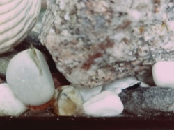 574787a6-6721-4dd3-80af-0e9b735f0c0b