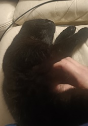 fadbf194-90bc-4388-9c7c-2ace043f5735