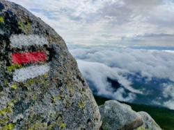 1a265c5e-04b9-488f-90a1-9eb01f478787