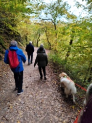 02647389-39db-4473-9f91-aed6b539577c