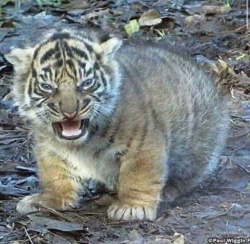 945b9a6c-e953-4e49-be4d-65e5ef62df24