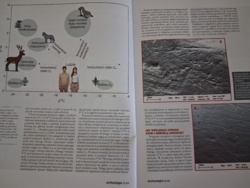 717c7e55-792e-4bfb-aa31-639e0b441b82