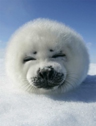 4bde147e-fb89-4fc1-9f3b-a9885febc34f