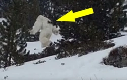 a78fcda0-f4fe-48a9-8836-531dac8e944c