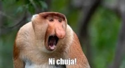 e1e8a7c9-66da-43fb-bb0a-fa6807cc0c44