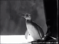 c1032119-37a7-4608-aa55-90ee8d217343