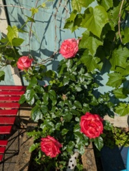 23f98041-b865-413d-a359-f52b99762177