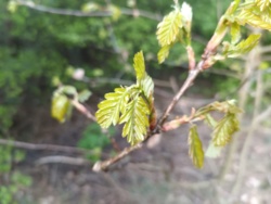 1cb03f93-1640-416d-8be5-d4ceb8516969