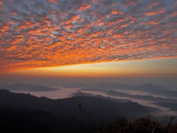 9c490969-d15a-4439-b636-25d68c985e8f