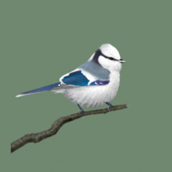 01a78516-7f47-4cf3-b9e4-7bfcfa252f84