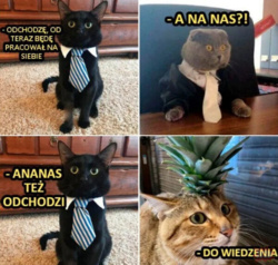 3a507b69-f9fb-417f-b28c-4c1e4bf3733c