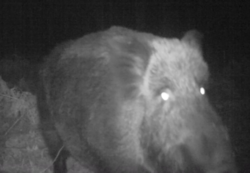 fbd80e71-6323-4a75-8032-8d68dc3b859f