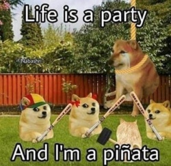 534472a5-d967-49a4-9831-50337551e858