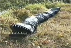 f10ea0d0-5f1a-4ef0-a1ca-678c56dcaea8