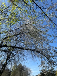 9d02c2b1-72bd-46e2-b12f-0bc1f4f9dbe3