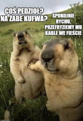 2433a34a-1500-4b58-917f-60a900ac15e8