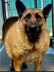 02c55a99-f149-40b1-b10b-ce11dfb000b2