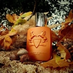 d98591cc-e44e-42c9-b29a-fe6a1c309c20