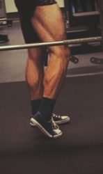 99a5e598-cb03-4ced-ad8a-fb5b6fffdeb4