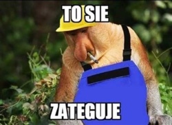 399a4ec0-4e4c-44d4-a427-2d8f74ca31ff