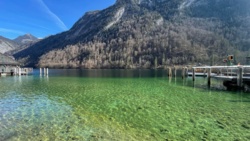 f0d456bd-5c5b-43a3-9693-bea60d1d237b