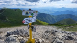 88e53dd3-358b-415b-b472-55ab71152b37