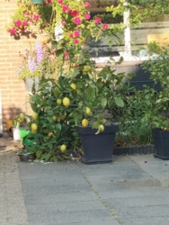 44eb0fdd-bb45-4236-a1d5-84db76348131