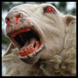 b8b847a2-ab78-4257-8497-16480fd379ab