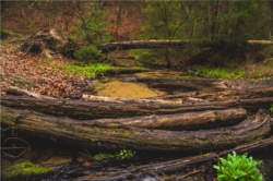 6b77ce83-7925-4386-bda4-dff7703bd0ab