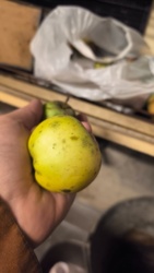 03fa8c14-ddcc-40d4-a057-b1d3207c1a23