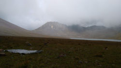 594e2e3d-936e-4abd-b650-0862f866a440