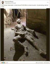 dc3d38a5-a347-4f90-b9fe-2c981092473b