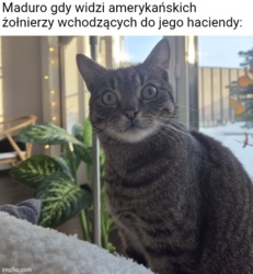 64593c81-c1da-4acc-9883-e9acdeb3d7df